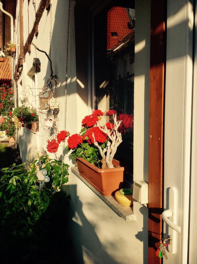 Am Mathildenbrunnen Klein Appartamento Quedlinburg Esterno foto