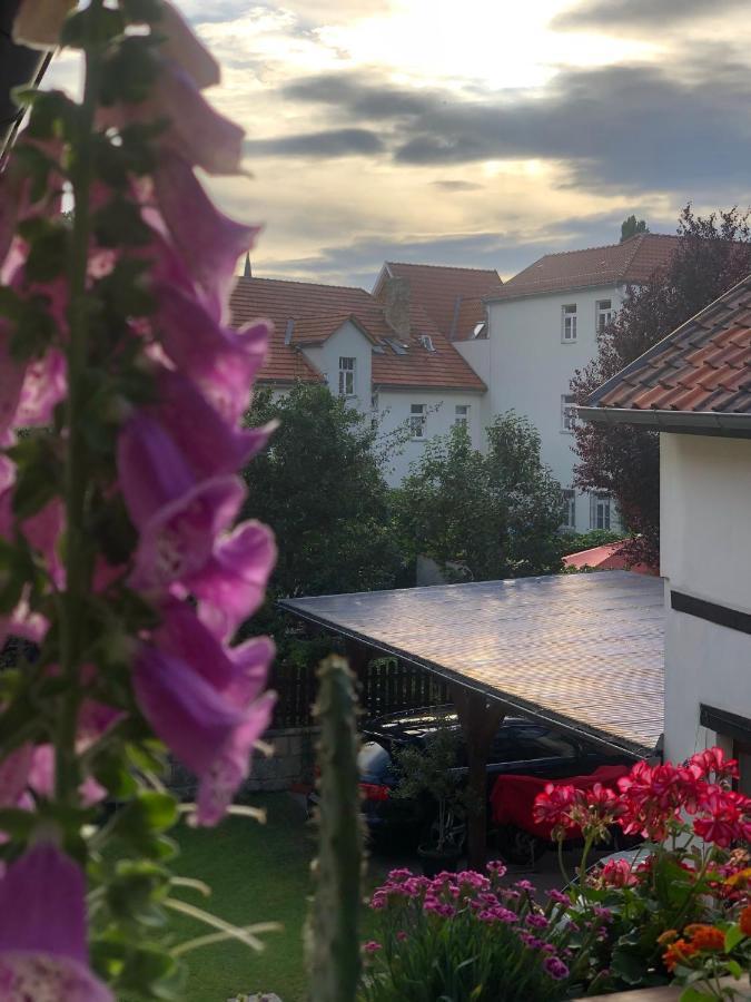 Am Mathildenbrunnen Klein Appartamento Quedlinburg Esterno foto